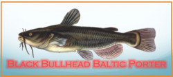 Black Bullhead Baltic Porter