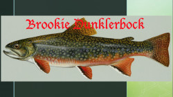 Brookie Dunklerbock