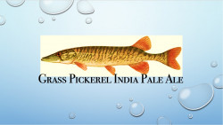 Grass Pickerel IPA