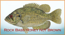Rock Bass Honey Nut Brown Ale