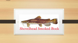 Shovelhead Smoked Bock