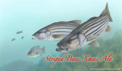 Striped Bass Xmas Ale
