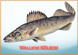Walleye Kolsch