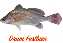 Drum Festbier